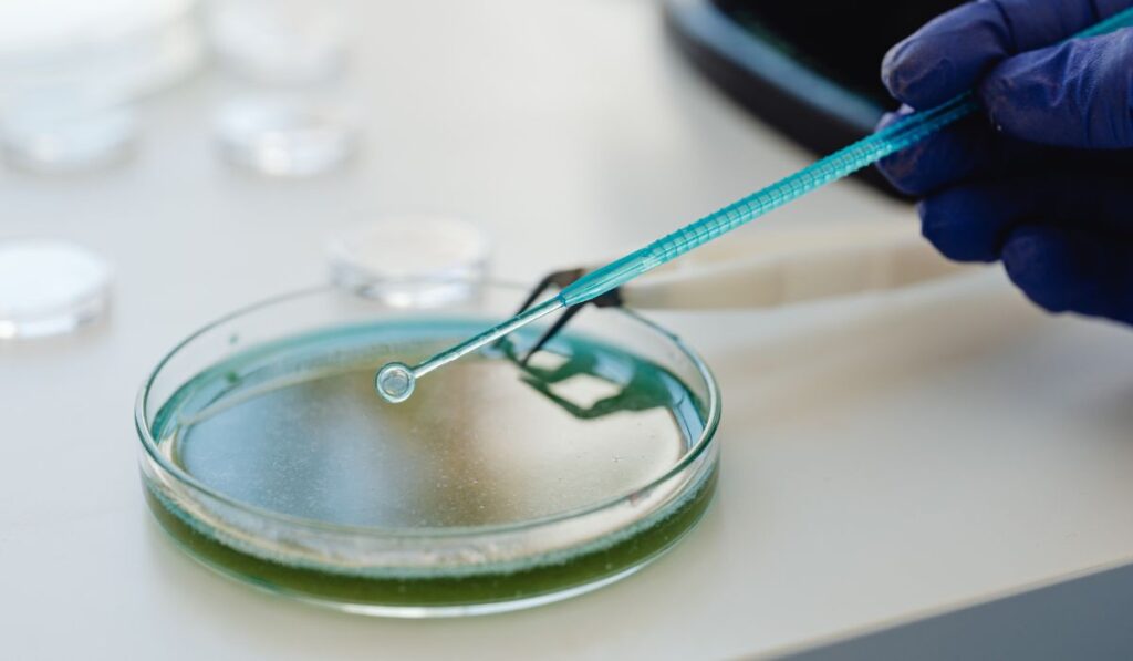 testing for phenobarbital