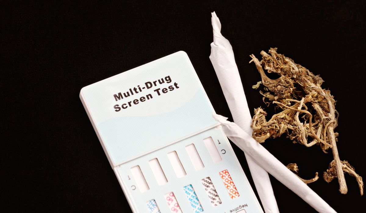 Tapentadol Drug Test