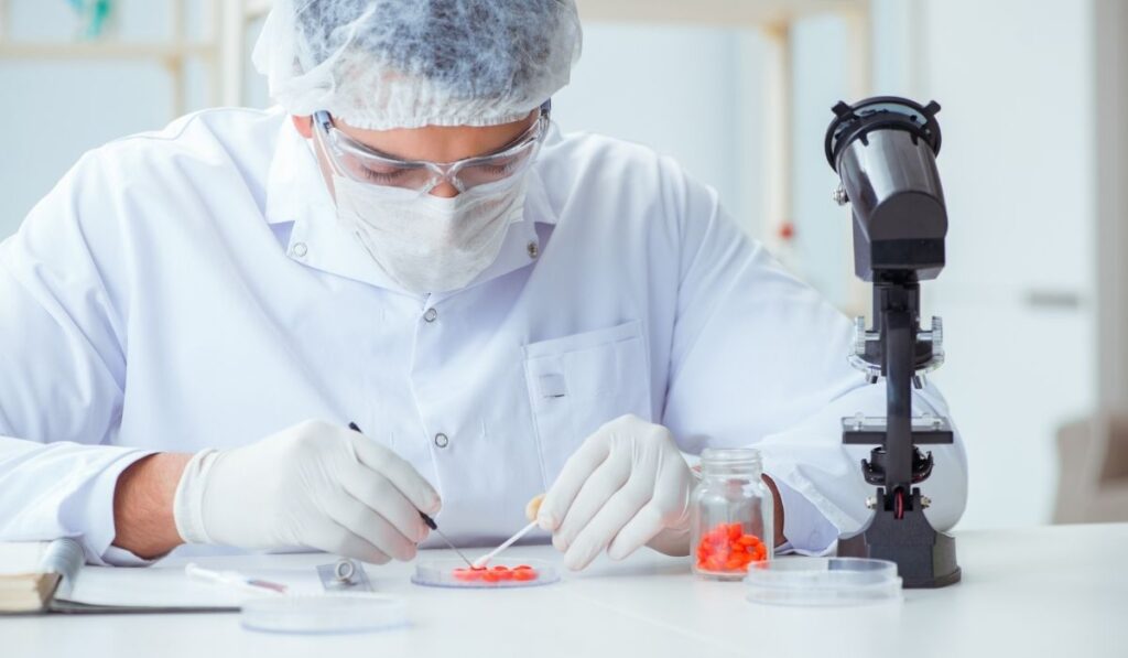person checking blood samples