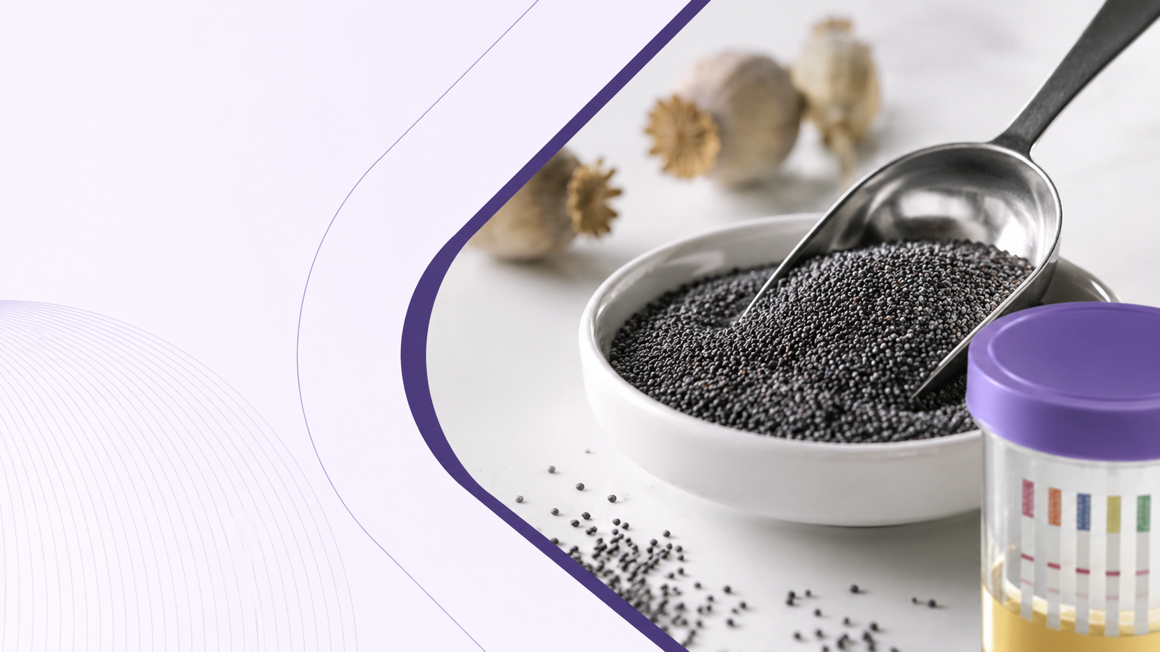 Will Poppy Seeds Show Up in a Drug Test